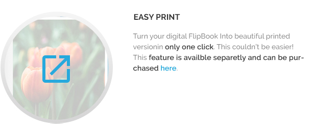 Plugin FlipBook đáp ứng - 7