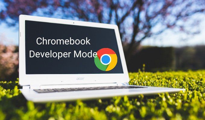 HDG giải thích: Chế độ nhà phát triển Chromebook là gì và công dụng của nó là gì?