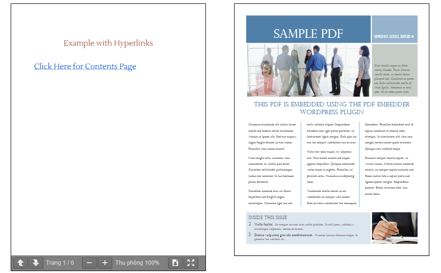 PDF Embedder Premium cho máy tinh
