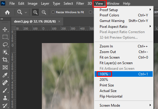 Cách Zoom (In và Out) trong ảnh Photoshop 9