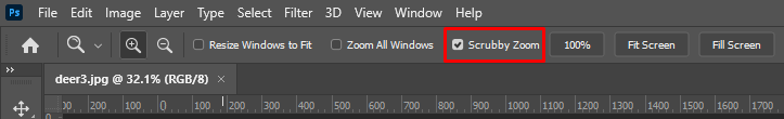 Cách Zoom (In và Out) trong ảnh Photoshop 6