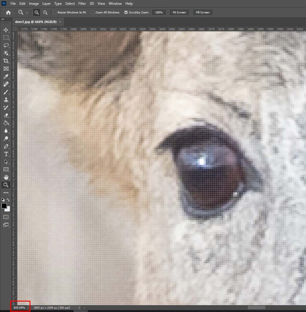 Cách Zoom (In và Out) trong ảnh Photoshop 10