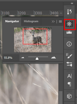 Cách Zoom (In và Out) trong ảnh Photoshop 11