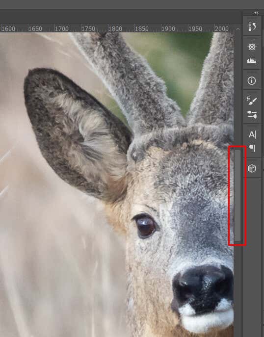 Cách Zoom (In và Out) trong ảnh Photoshop 17